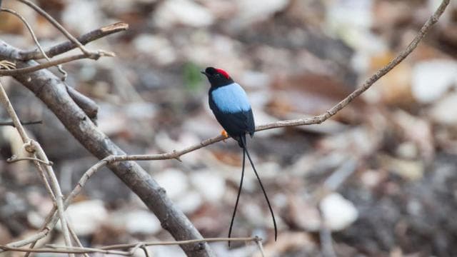 Private Tour Diria National Park Unspoken Hiking and Nature