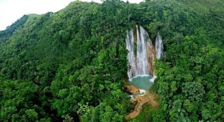 From Punta Cana: Samaná Cayo Levantado and Waterfall + Whale Watch