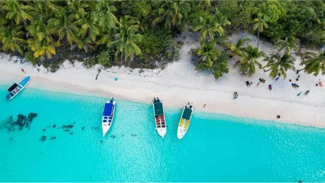 Saona Island All Inclusive Tour
