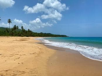 Samana: Montaña Redonda, Lunch, and Esmeralda Beach Tour