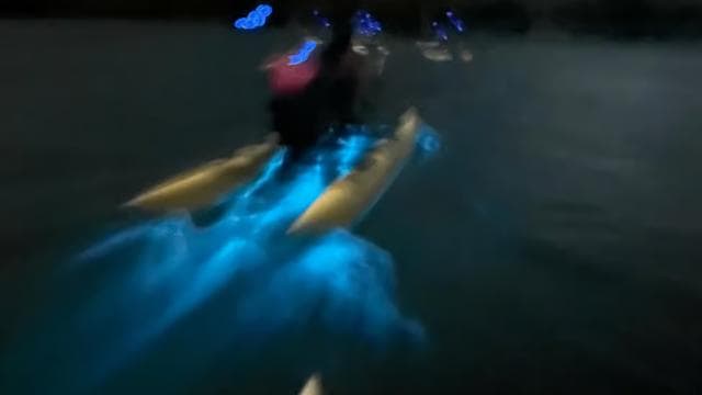 La Parguera: Bioluminescent Bay Chiliboats Waterbike Tour