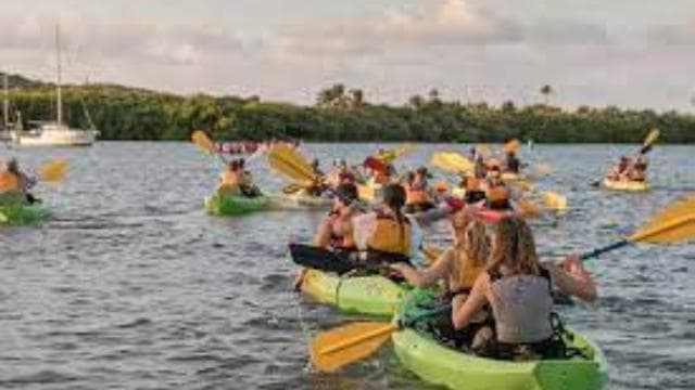 Fajardo: Bioluminescent Lagoon Kayak or Full Moon Kayak Tour
