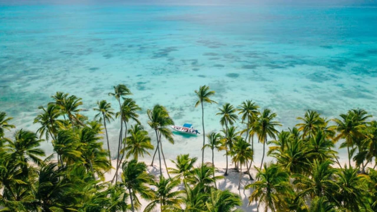 Saona Island: Catamaran tour to a Dream Beach, all inclusive