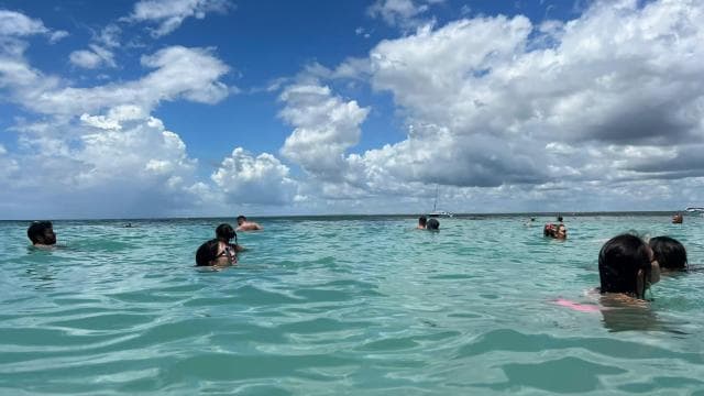 Punta Cana: All Inclusive Saona Island Experience