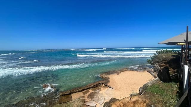 La Parguera: Half day Private Boat tour 4 hours