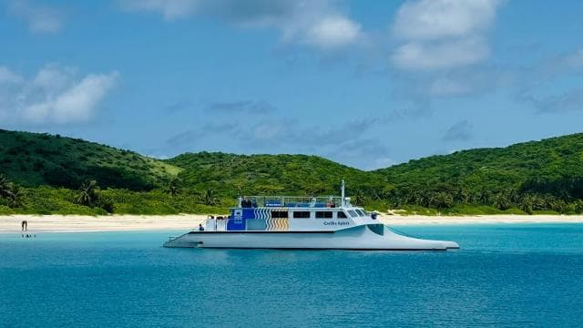 From Fajardo: Full-Day Culebra Islands Catamaran Tour