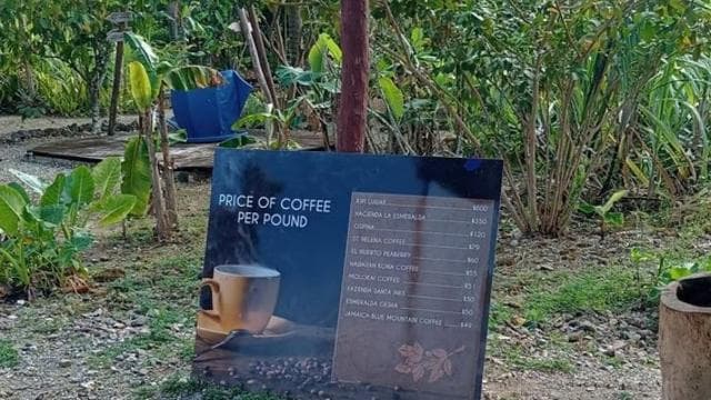 3-Hour Panoramic Tour of Punta Cana with Artisan Market