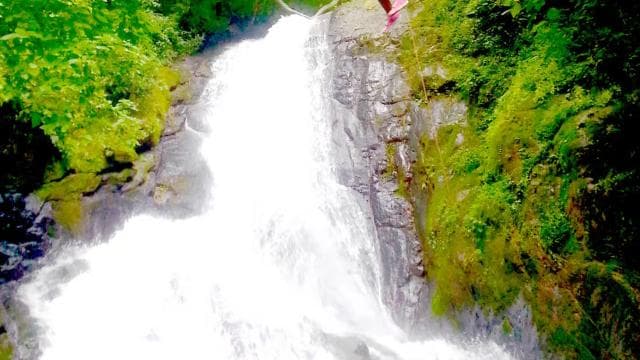 From San José: 11 Waterfalls Zipline Adventure