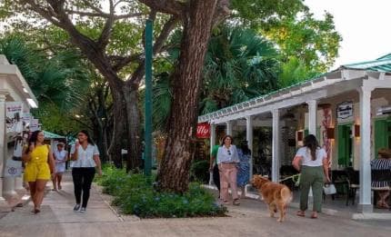 Punta Cana: Shopping Tour with Tastings and Pickup