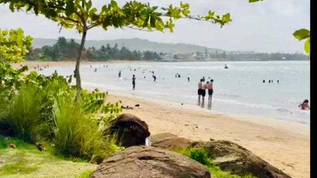 San Juan: 3 Tours 1 Day Bundle! Old City, Rainforest & Beach