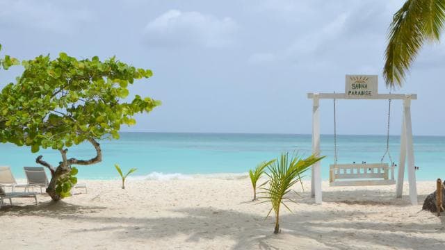 Saona Island: (4 beaches) Canto de la Playa from Punta Cana