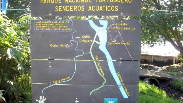 Tortuguero National Park: Best Things to Do in Tortuguero