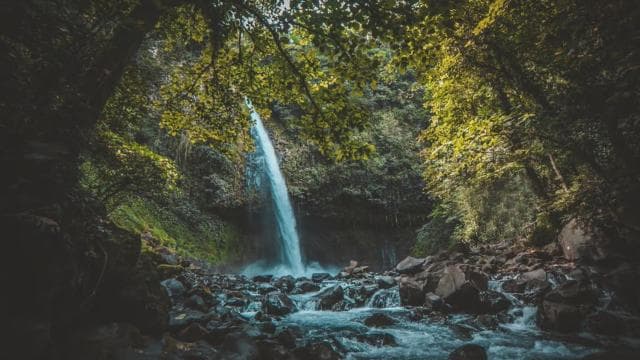 La Fortuna: Half-Day Waterfall Tour with Lunch