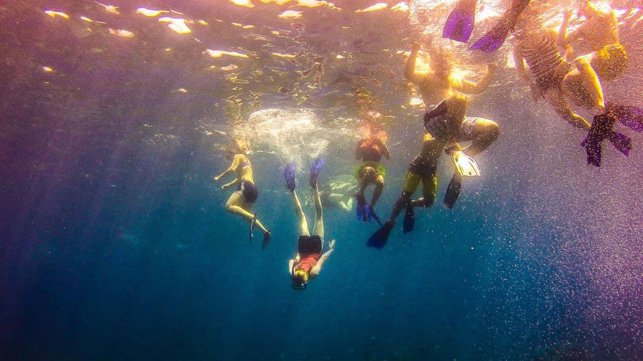Catalina Island Tour: Boat, Beach Stay, Lunch & Free Drinks