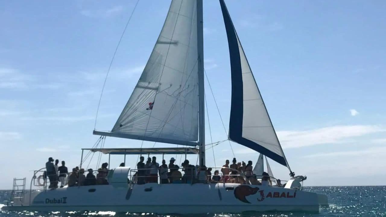 Saona Island Excursion Punta Cana