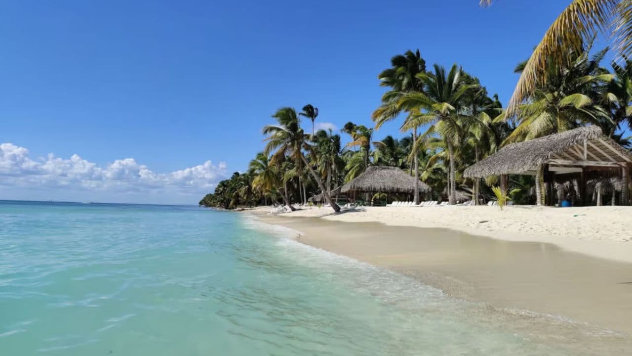 Saona Island From Punta Cana Dominican Republic Book Now