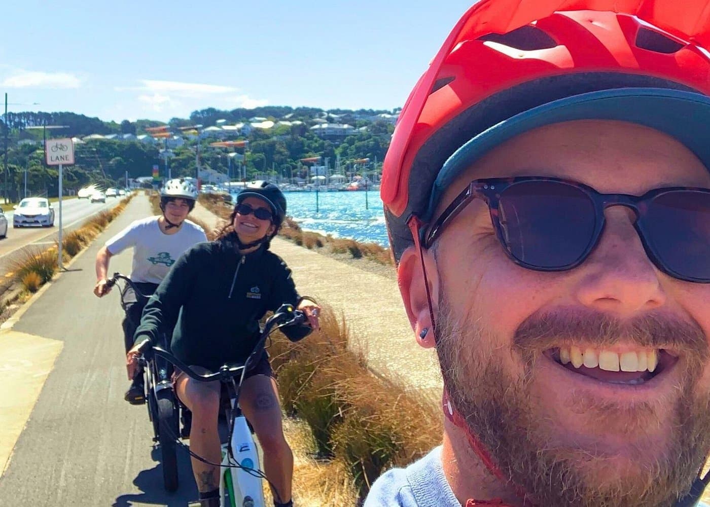 Wellington Electric Bike Rental