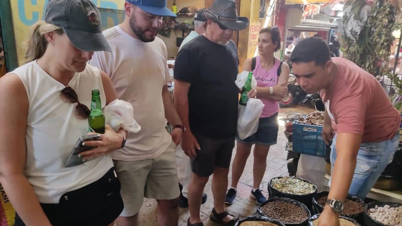 Small Group: Half Day Dominican Republic Cultural Tour