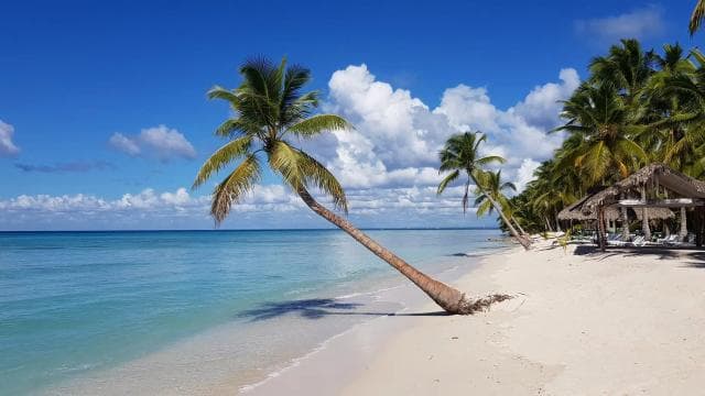 Punta Cana: Saona Island Day Trip