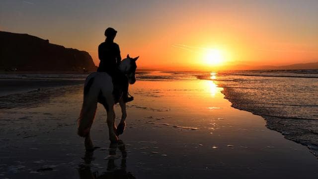 Playa Conchal: Horseback Riding -Sunset Private Tour For All