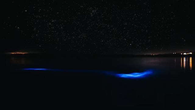 From San Juan: La Parguera Glowing Bio Bay Boat Tour