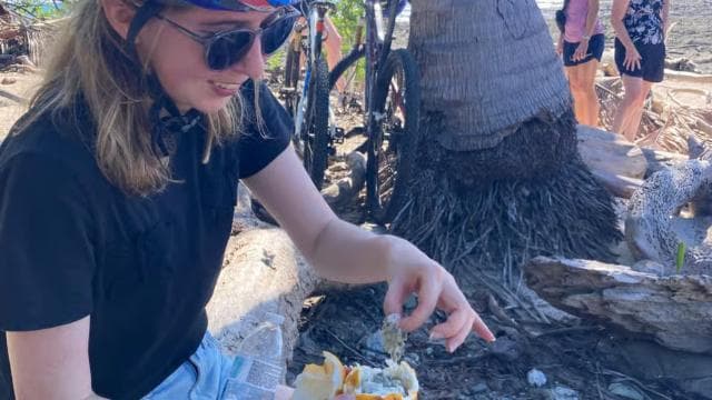 Jungle Mountain Bike Tour & Waterfall Swim