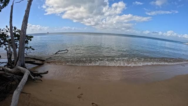 Vieque: Power Boat Turtle Snorkel and Beach Tour with Lunch