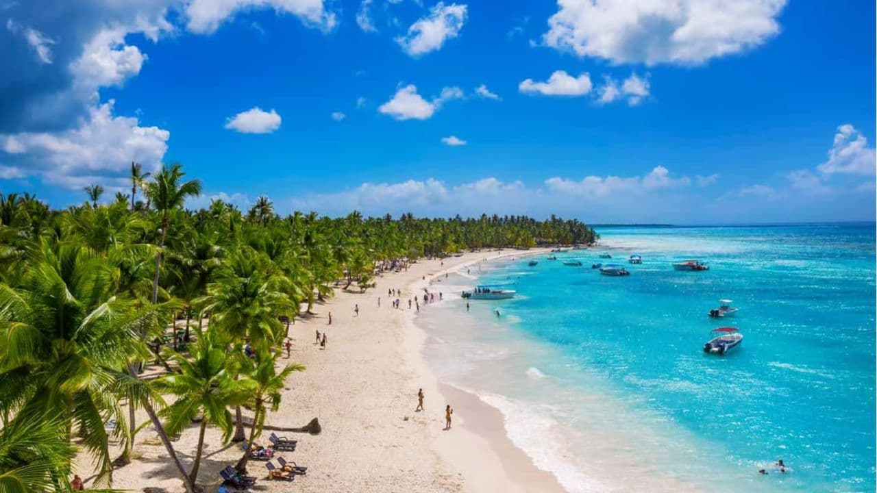 From Santo Domingo: Isla Saona Full-Day Tour with Lunch