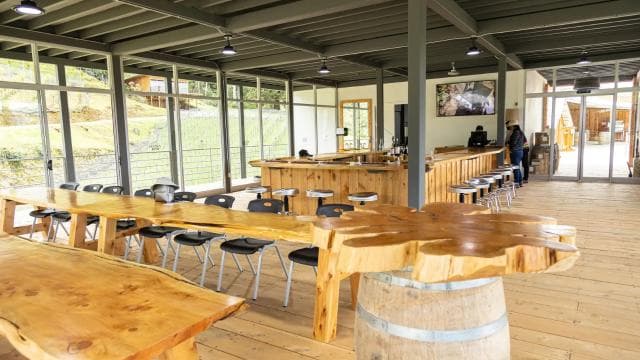 Wine Tour and Golden Rush