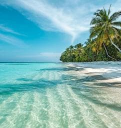 Private: Isla Saona VIP Escape Luxury Beach & Speedboat Tour