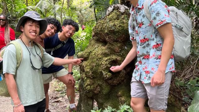 San Juan: El Yunque Rainforest Hike & Luquillo Beach