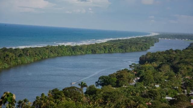 Motorboat Tour in Tortuguero National Park **BEST SELLER**
