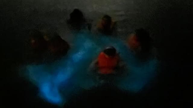 La Parguera: Bioluminescent Bay Boat Tour