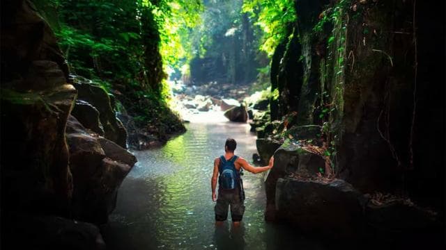 Drake Bay: Jungle Hiking and Canyoning Adventure with Lunch