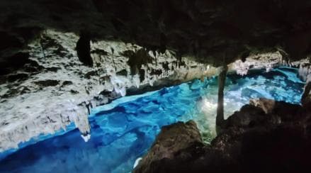 Bayahibe: Snorkeling Tour - Sea, Cotubanama park & Cenotes