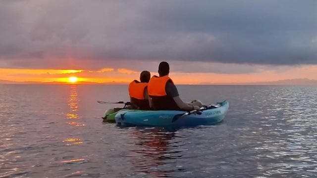 Puerto Jimenez: Kayak Adventure in the Golfo Dulce + Bioluminescence
