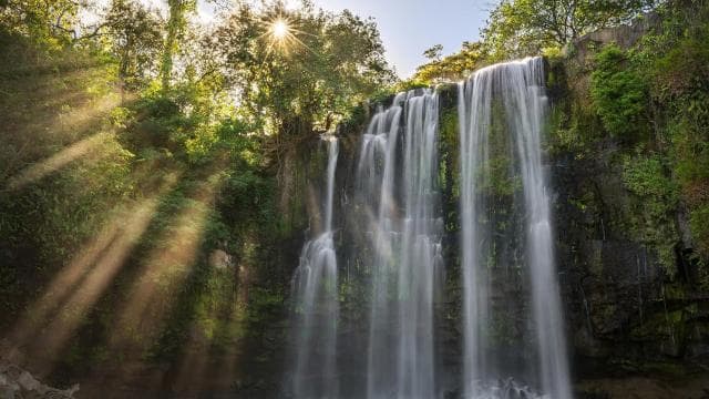Guanacaste: Sloth Sanctuary and Waterfall Adventure