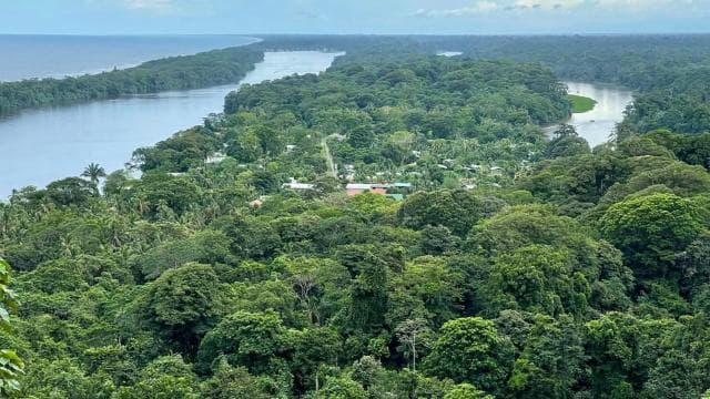 Tortuguero: Tour in the Tortuguero hill (dormant volcano)