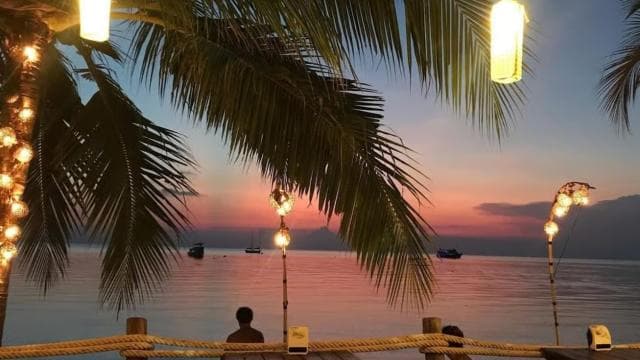 From Jaco: Bioluminiscence Boat Tour with BBQ & Drinks