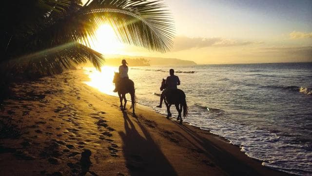 Tamarindo: Horseback to Tamarindo Beach - Guanacaste, CR