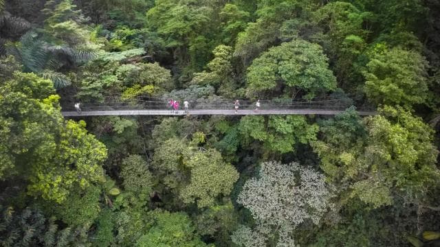 La Fortuna Waterfall: Arenal Volcano and Hanging Bridges
