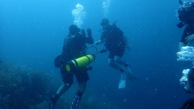 Golfito, Costa Rica: PADI Open Water Diver Certification