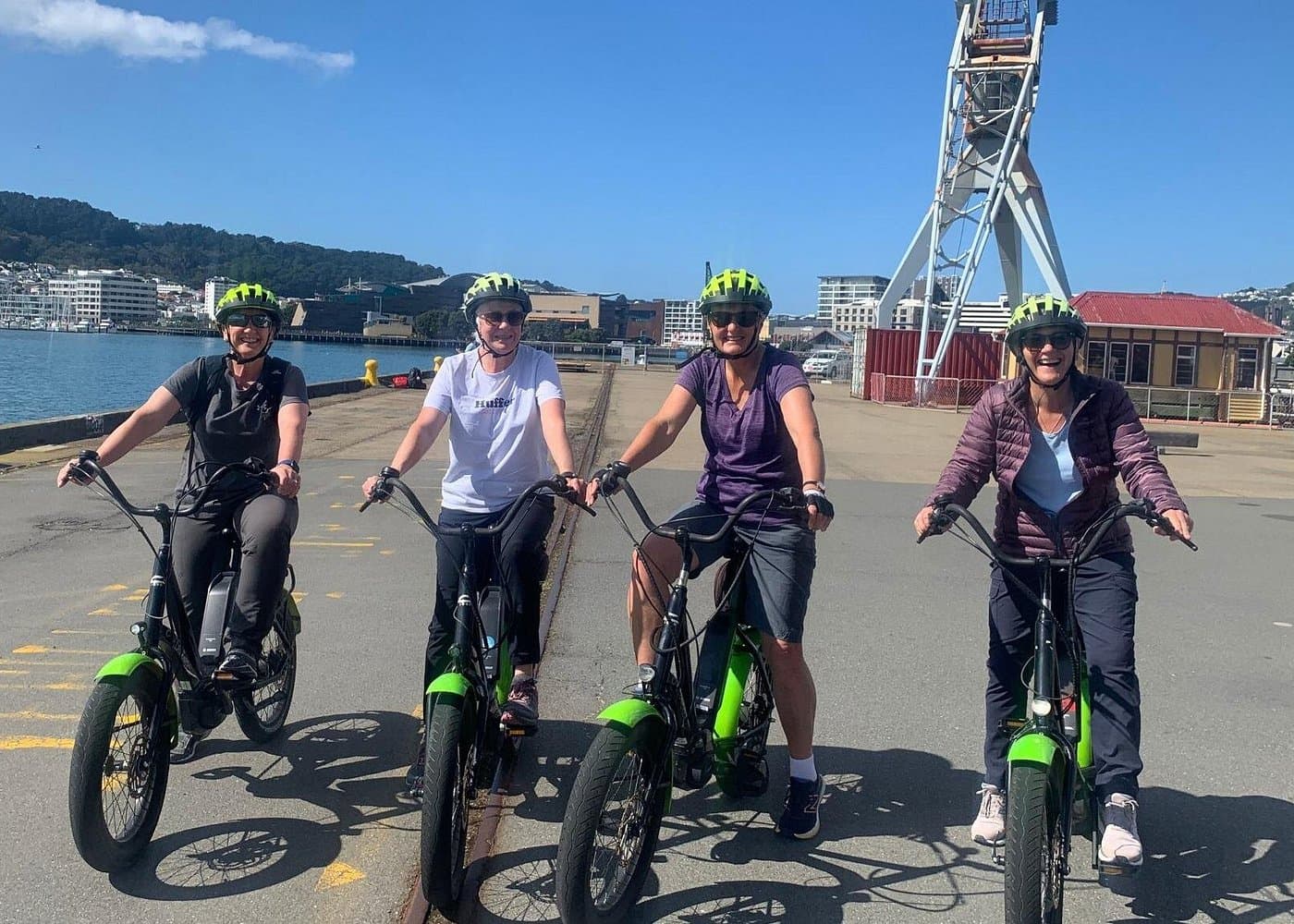 Wellington Electric Bike Rental