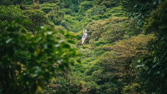 Monteverde: Monteverde Cloud Forest Canopy Adventure