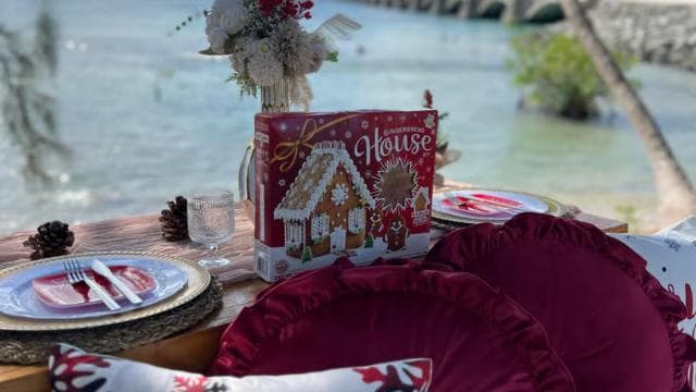 picnic san juan puerto rico