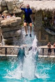 Puerto Plata: Ocean World Adventure Park Day Pass