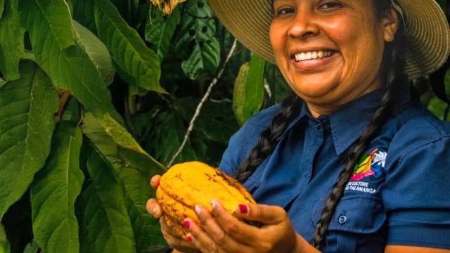 Puerto Viejo: Indigenous Experience & Chocolate Tour