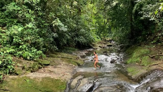Puerto Viejo or Cahuita: Bribri Hidden Waterfalls Excursion with Lunch