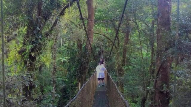 Guanacaste: Rainforest, Sloths, & Nature Day Trip with Lunch