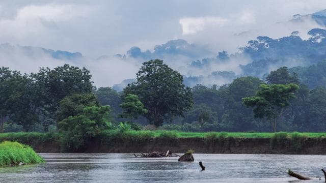 From San José: Carara National Park and Tárcoles River Tour